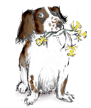Dog with Daffodils